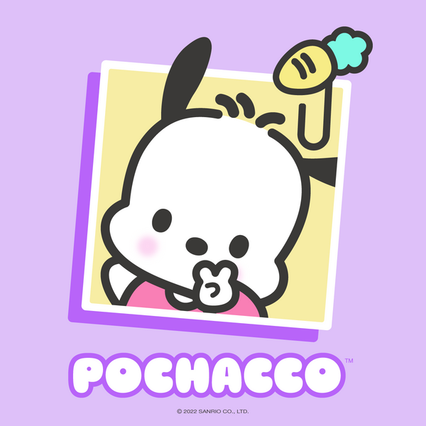 Sanrio Friend of the Month: Pochacco