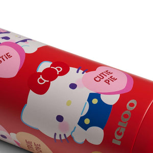 Hello Kitty and Friends x Igloo Sweethearts 16oz Stainless Steel Can Travel Igloo Products Corp