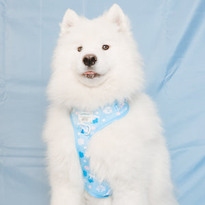 Cinnamoroll x Sassy Woof Adjustable Dog Harness (Clouds) Home Goods SASSY WOOF