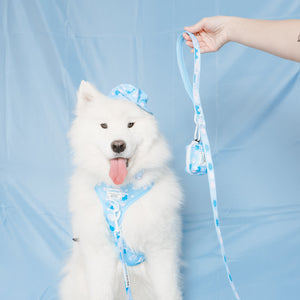 Cinnamoroll x Sassy Woof Dog Leash (Clouds) Home Goods SASSY WOOF