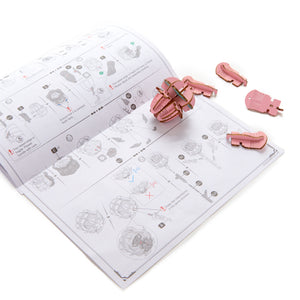 Hello Kitty Pink Rose 3D Wooden Puzzle Toys&Games HANDS CRAFT