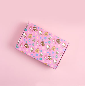 Hello Kitty x Erin Condren Special Edition Gift Box Stationery ERIN CONDREN   