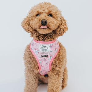 My Melody & Kuromi x Sassy Woof Reversible Dog Harness Home Goods SASSY WOOF