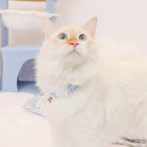 Cinnamoroll x Sassy Woof Cat Collar (Clouds)