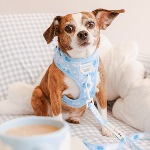 Cinnamoroll x Sassy Woof Adjustable Dog Harness (Clouds)