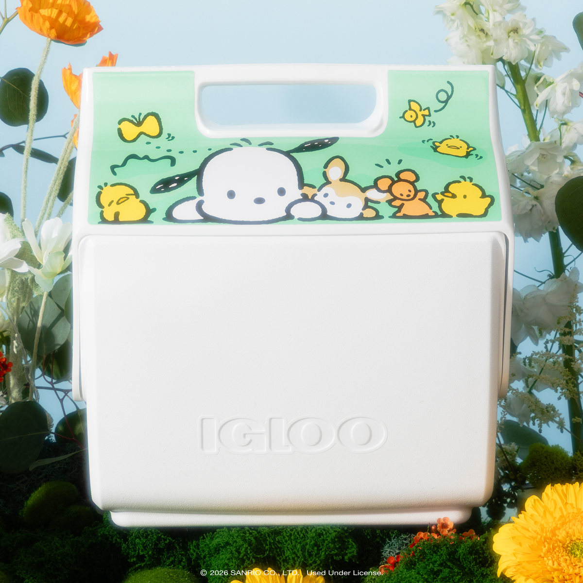 Pochacco x Igloo Little Playmate 7 Qt Cooler Travel Igloo Products Corp