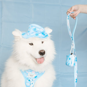 Cinnamoroll x Sassy Woof Dog Bucket Hat (Clouds) Home Goods SASSY WOOF