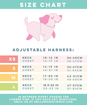 Cinnamoroll x Sassy Woof Adjustable Dog Harness (Clouds)