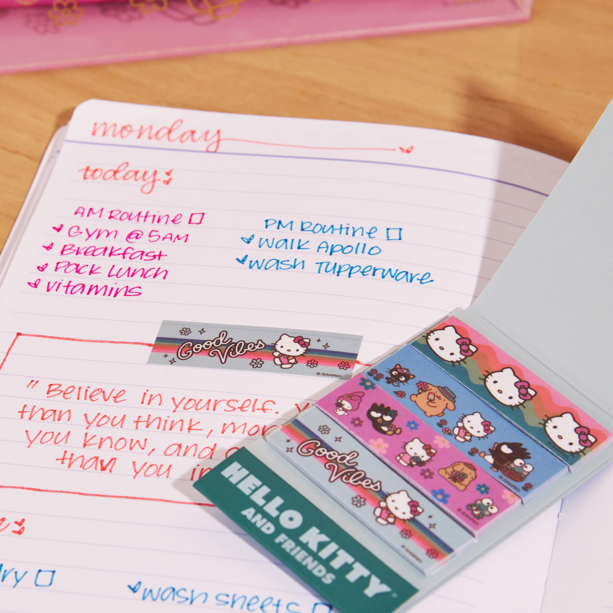 Hello Kitty x Erin Condren 2023 Special Edition Gift Box Stationery ERIN CONDREN   