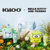 Collection of Igloo and Hello Kitty and Friends products on a decorative background with plants and flowers.