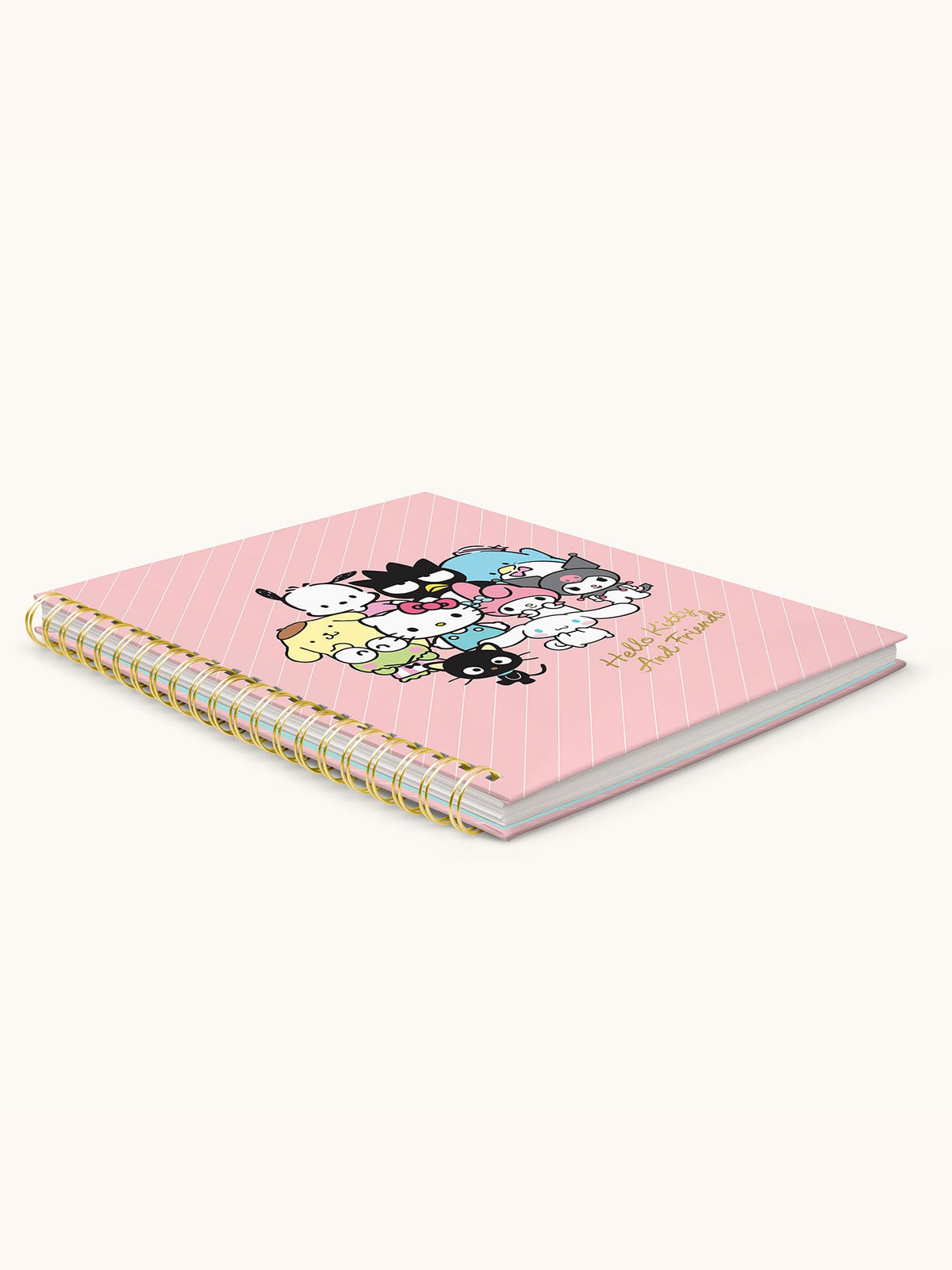 Hello Kitty and Friends x Studio Oh! Pink Pinstripe Extra-Large Spiral Notebook