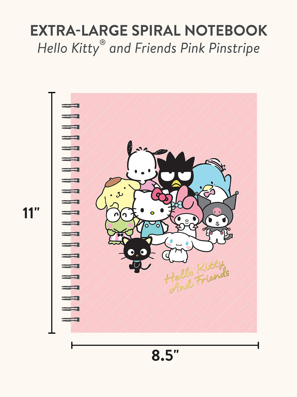 Hello Kitty and Friends x Studio Oh! Pink Pinstripe Extra-Large Spiral Notebook