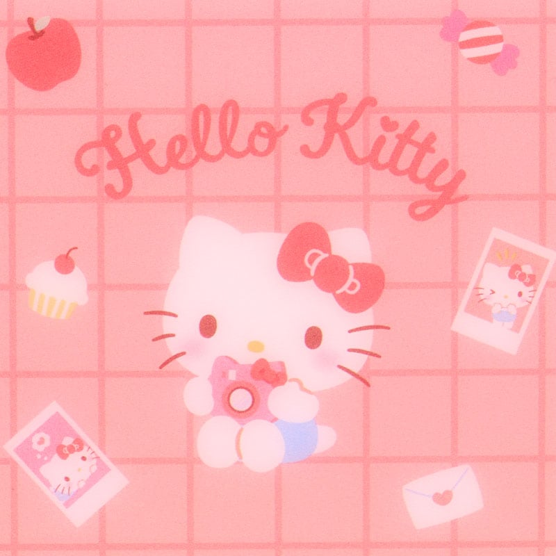 Hello Kitty Slim Photo Album Stationery Japan Original